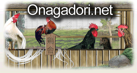 Minohiki -  Long-Saddled Fowl.jpg
